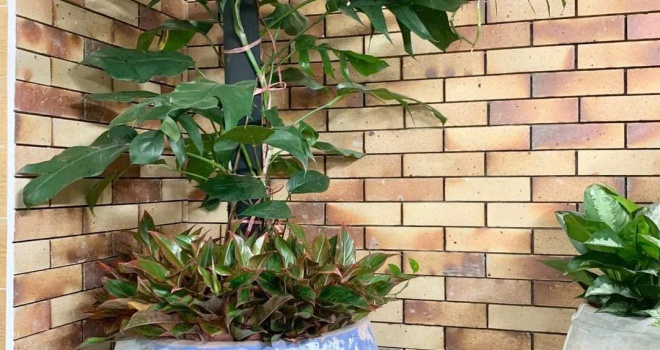 So sánh vật liệu chịu lửa, bảo ôn và cách nhiệt